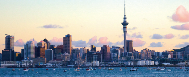 NZニュース記事
