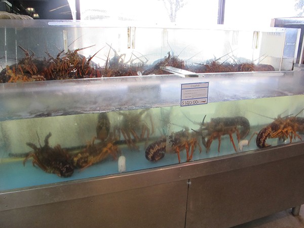 fishmarket-11