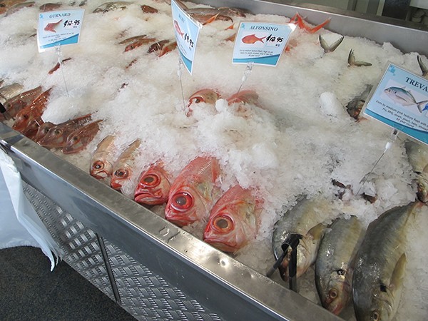 fishmarket-3