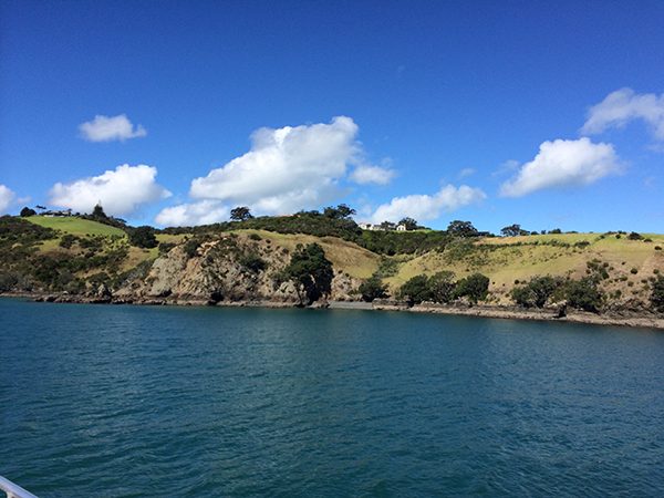 waiheki-3
